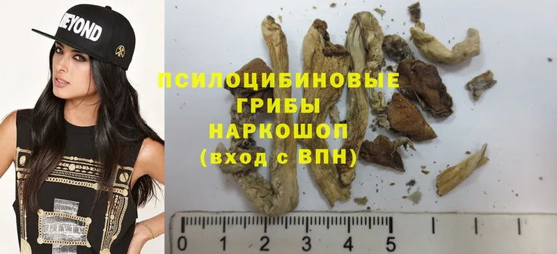 ссылка на мегу ссылки  Уржум  Псилоцибиновые грибы Psilocybe 